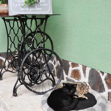 Hébergement de vacances Farma Opacita *