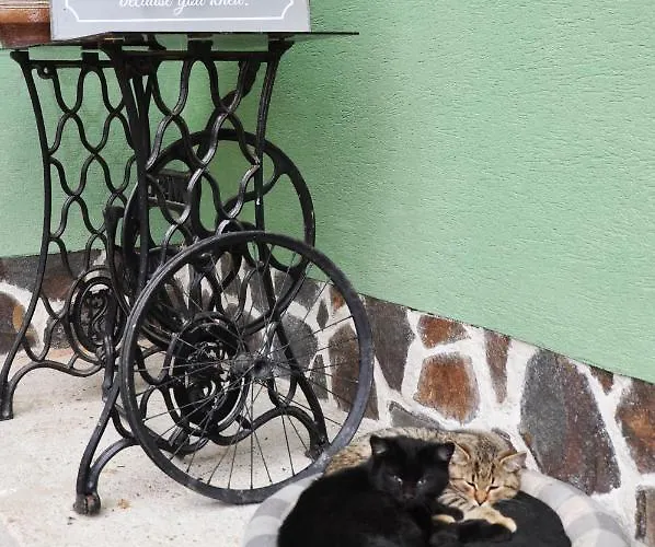 בית נופש Farma Opacita *